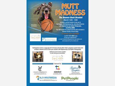 Mutt Madness Pet Portrait Fundraiser benefiting HSHV