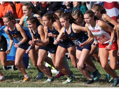 CROSS COUNTRY: Saline Girls 5th at State Meet, Alig Earns All-State Honors