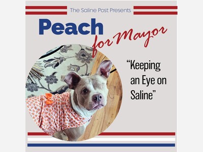 Peach for Mayor:  Keeping an Eye on Saline. 