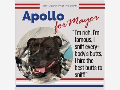 Vote for Apollo for Saline Mayor!