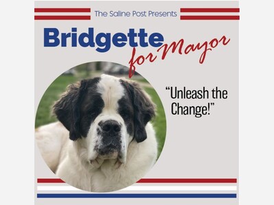 Vote for Bridgette for Saline Mayor!