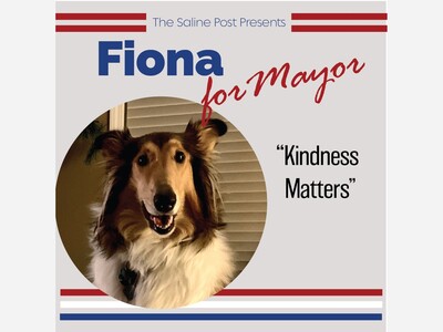 Vote for Hank for Saline Mayor