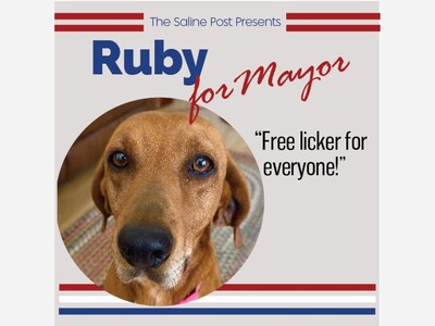 Vote for Ruby for Mayor of Saline!