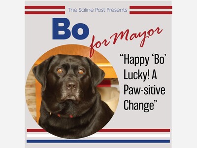 Vote for Bo for Mayor of Saline