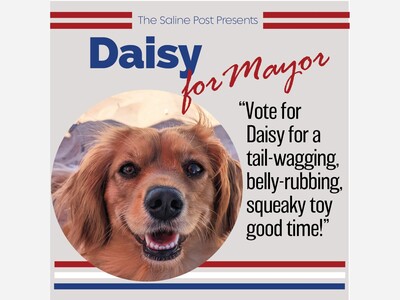 Vote for Daisy for Mayor!