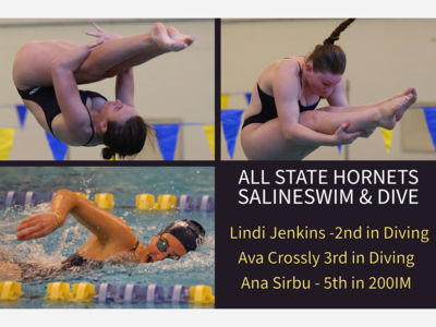 SWIM & DIVE: Jenkins, Crossly and Sirbu Take All-State Honors