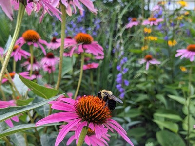 What to do in Saline - Monday, May 12 - Sunday, May 18