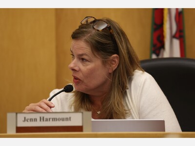 Saline Election Preview: Meet Saline City Council Candidate Jenn Harmount
