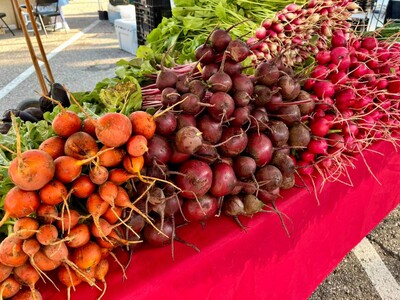 What to do in Saline this weekend: Tractor Pull, ALS Run, Make Fused Glass Vases, Farmers Market and More