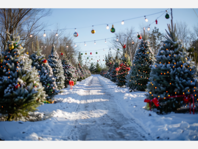 What to do in Saline - Monday, Nov 24 - Sunday, Nov 30