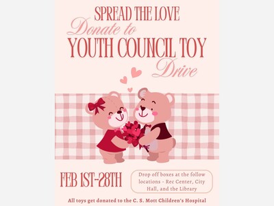 Saline Youth Council Collecting Toys for Mott Children's Hospital