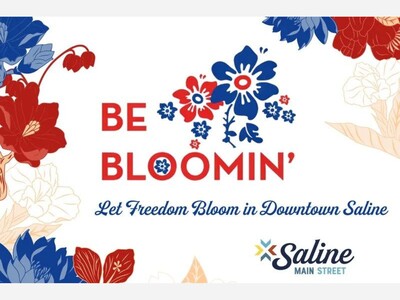 Dress Saline's Flower Baskets in Red White and Blue