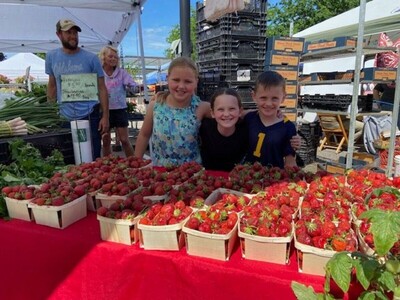What to do in Saline: Tribute to Joseph Labuta, Whimsical Story Time, Farmers Market Goes Outside and More