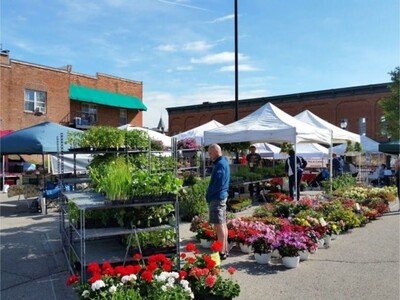 Saline Farmers Market Outdoors Again Saturday