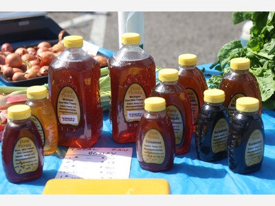 What to do in Saline: Coffee with the Mayor, Immigrations and Justice Talk, Family Fun Storytime, Farmers Market and More
