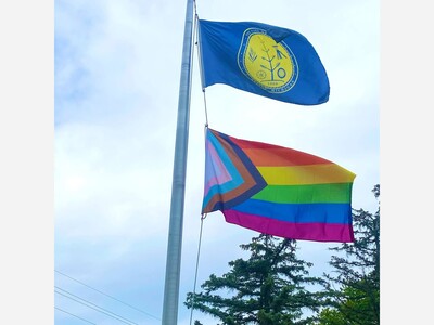 Saline Social Pride Event from 12-2 p.m. Saturday at City Hall