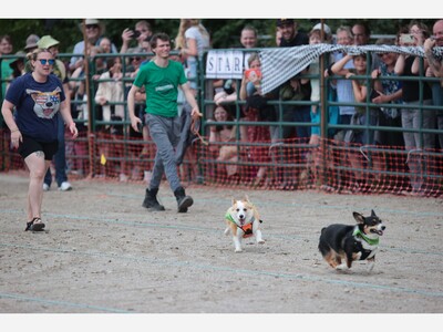 What to do in Saline: Live Music at the Well, Country Music Downtown, Celtic Festival, Great Summer Read at the Libary and More