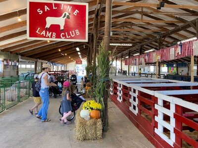 Children Enjoy a Day at the Saline Community Fair