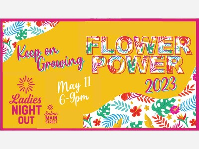 Ladies Night Out in Downtown Saline Thursday