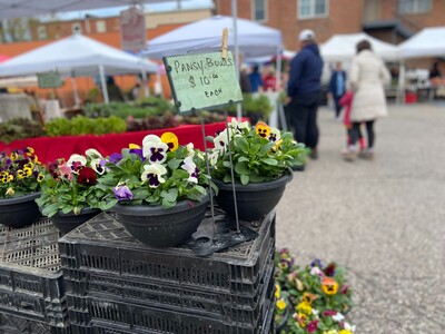Farmers Market Returns to Downtown Saline