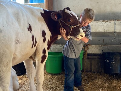 Children's Day at Saline Community Fair Features Fun Activities for Families