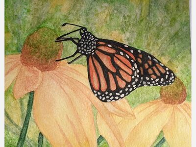 Creativity has no age limit at Saline Area Senior Center (SASC)