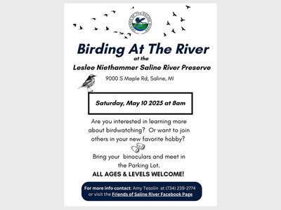 Birding at the River