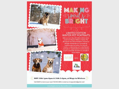 Winter Pet Photos