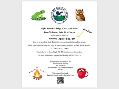 Spring Frogs and Campfire