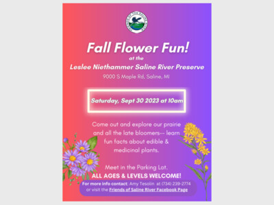 Fall Flower Fun at the Saline River