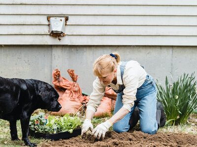 Saline Stone & Thistle Garden Club: What Worked & What Didn't