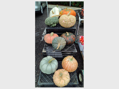 Saline Farmer's Market