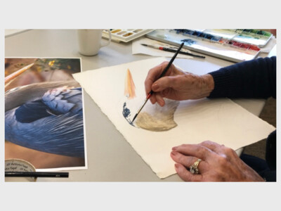 Beginner/Intermediate Watercolor Class