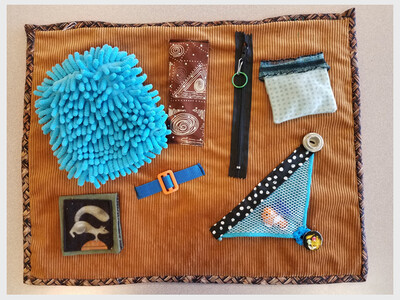 Saline Fidget Sisters - monthly meeting