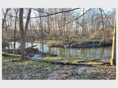 Saline River Cleanup