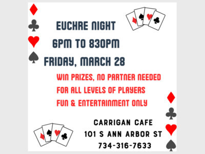 Euchre Fun Night