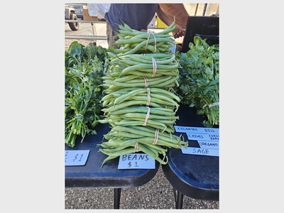 Saline Farmer's Market