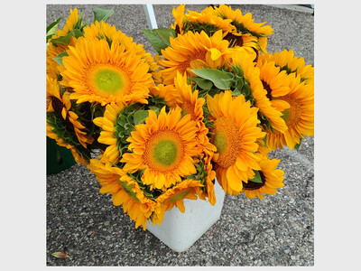 Saline Farmer's Market