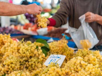 Saline Farmers Market