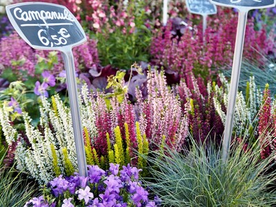 St. Paul UCC Plant & Bake Sale