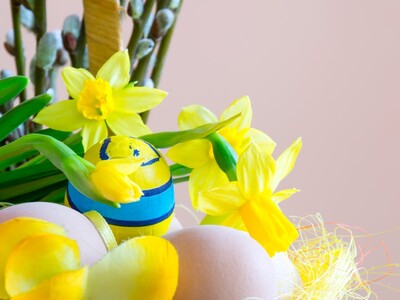 Meet the Easter Bunny