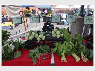 Saline Farmers Market