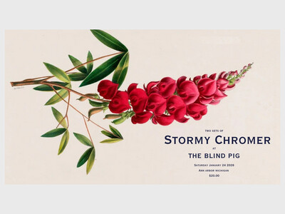 Stormy Chromer Live at The Blind Pig