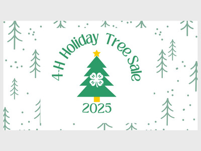 Washtenaw County 4-H Holiday Tree Sale