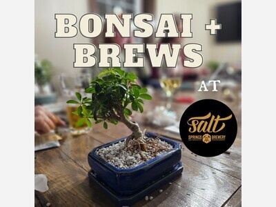 Bonsai + Brews