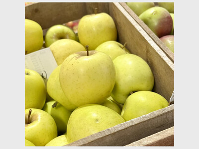 Saline Indoor Farmers Market