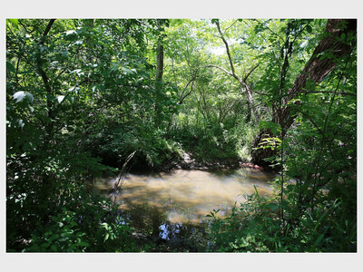 Our Milan Nature Walk