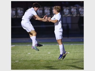 Saline vs Rochester Adams - Soccer Semifinal