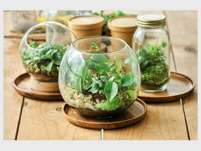 Terrarium Worskshop