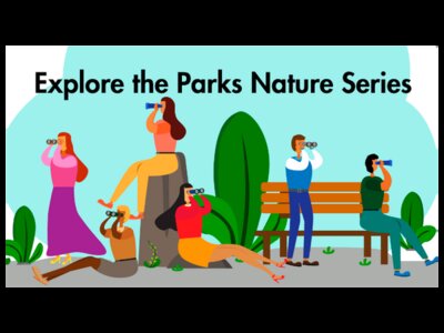 Explore The Parks Nature Series at Mill Pond Park